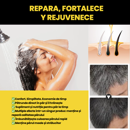 Shampoo for gray hair 100ml BLACK