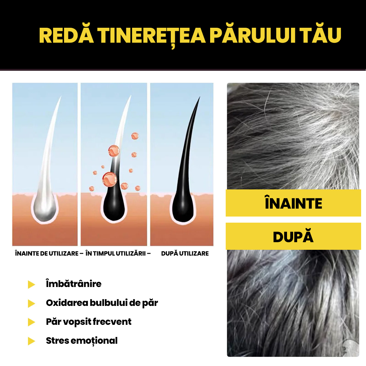 Shampoo for gray hair 100ml BLACK