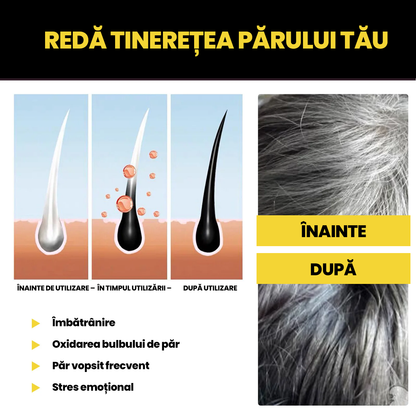 Shampoo for gray hair 100ml BLACK