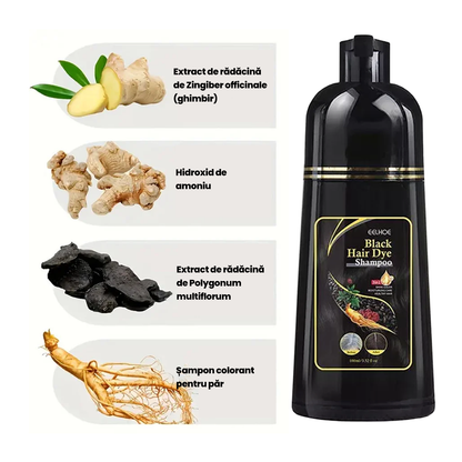 Shampoo for gray hair 100ml BLACK